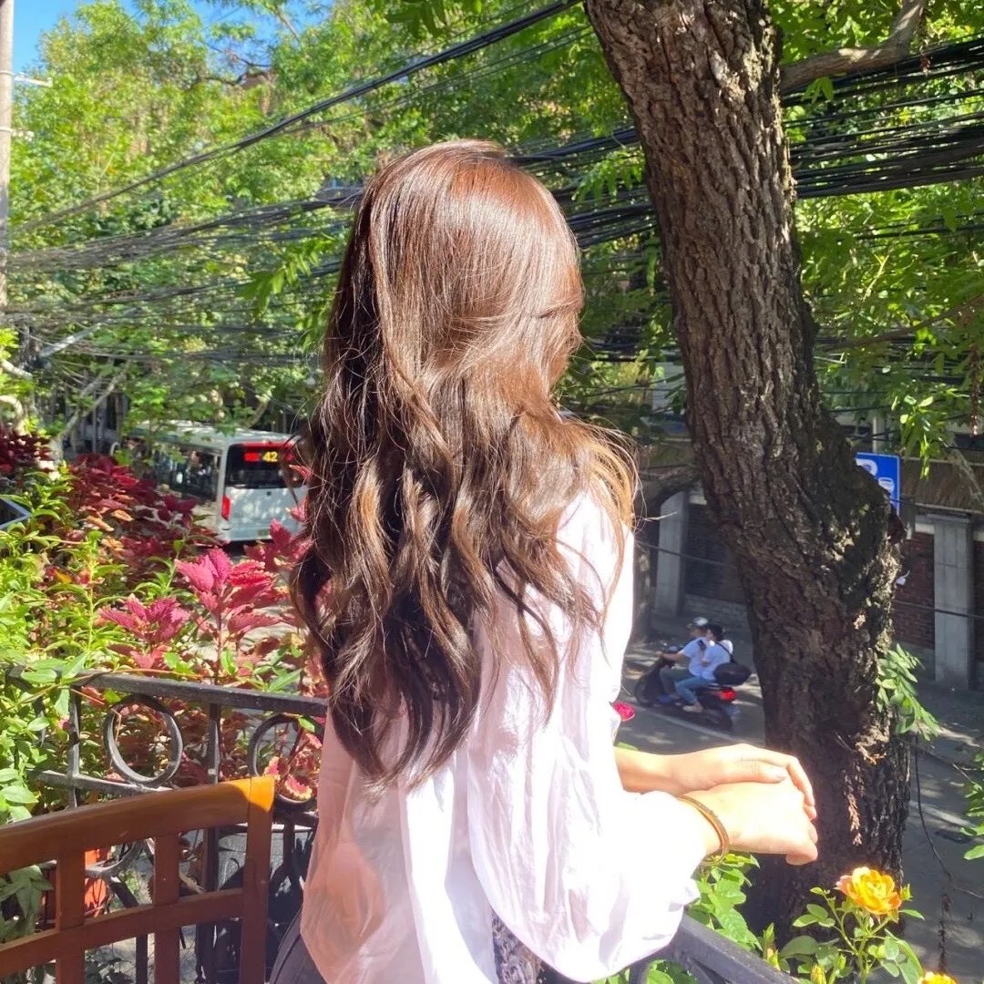 蛇蝎夜合花